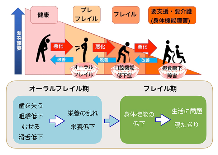 お口の健康と全身の健康