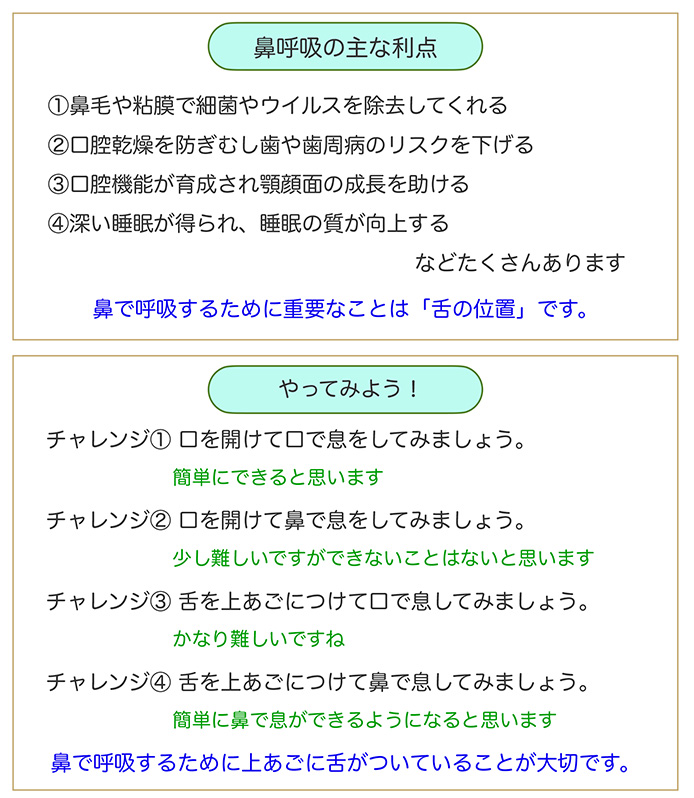 呼吸は鼻でする？口でする？