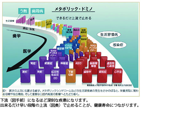 生活習慣病の連鎖　メタボリックドミノ