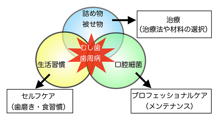 歯を守り続けるために