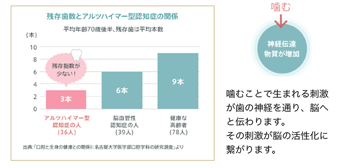 歯周病と認知症の関係