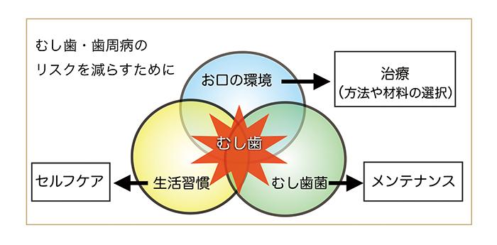 大切な定期検診