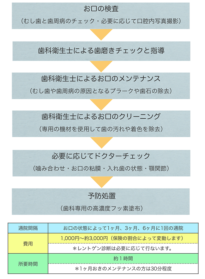 当院の定期検診の流れ