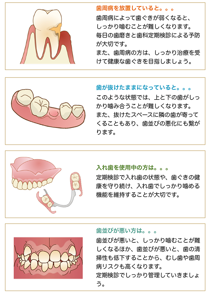 正しく噛むために