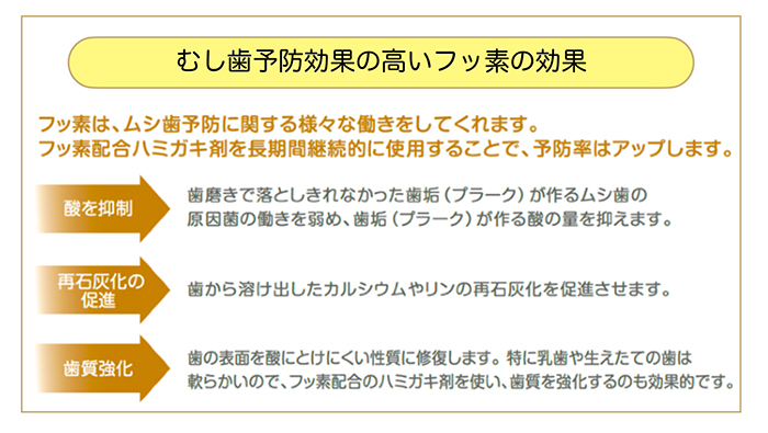 フッ素の活用で歯を守り続ける